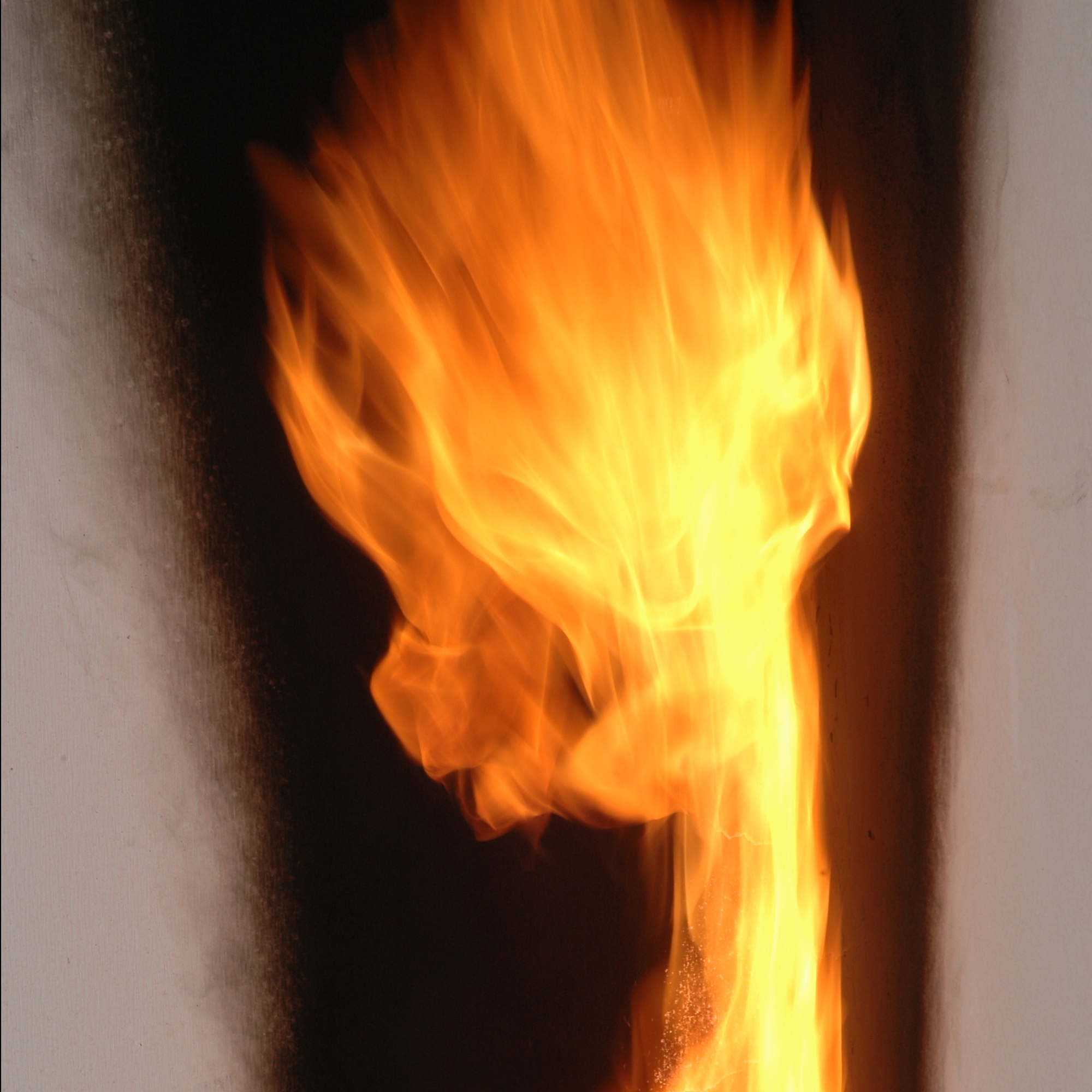 Abteilung Brandschutz